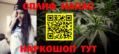 шишки Нарткала