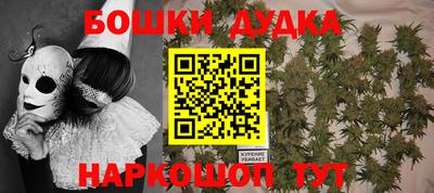 шишки Нарткала